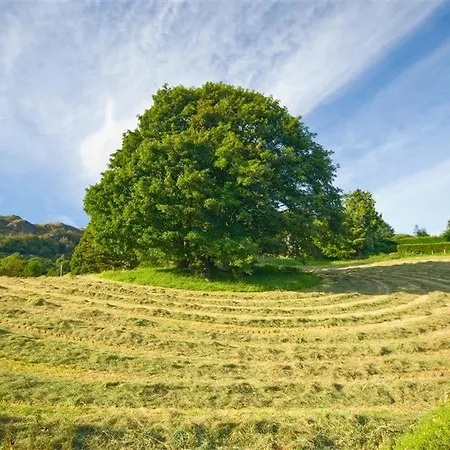 Holiday home Foxdene Underbarrow