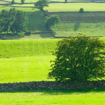 Foxdene *
